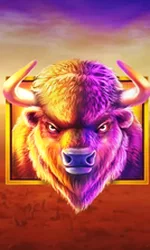Buffalo King